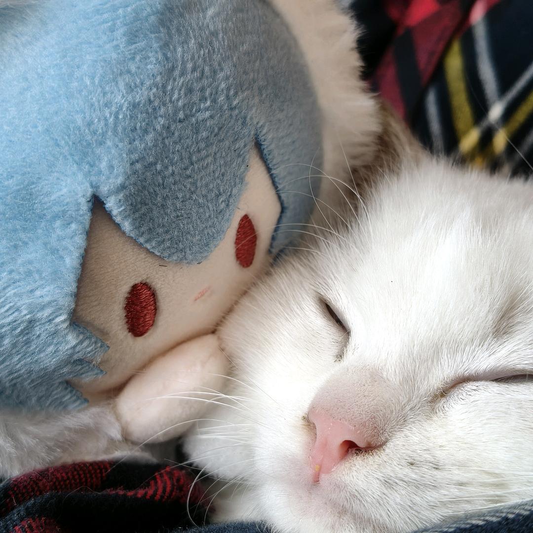 依舊