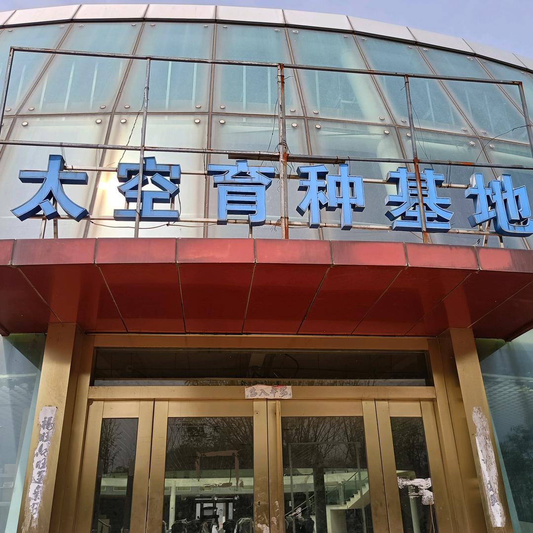 纯锋