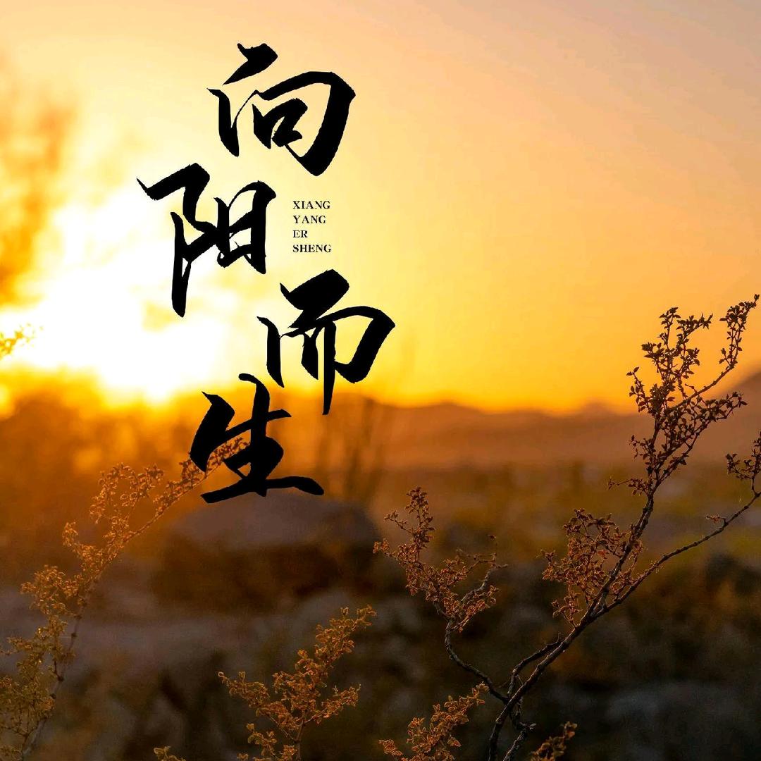 🤘笑看人生🤟