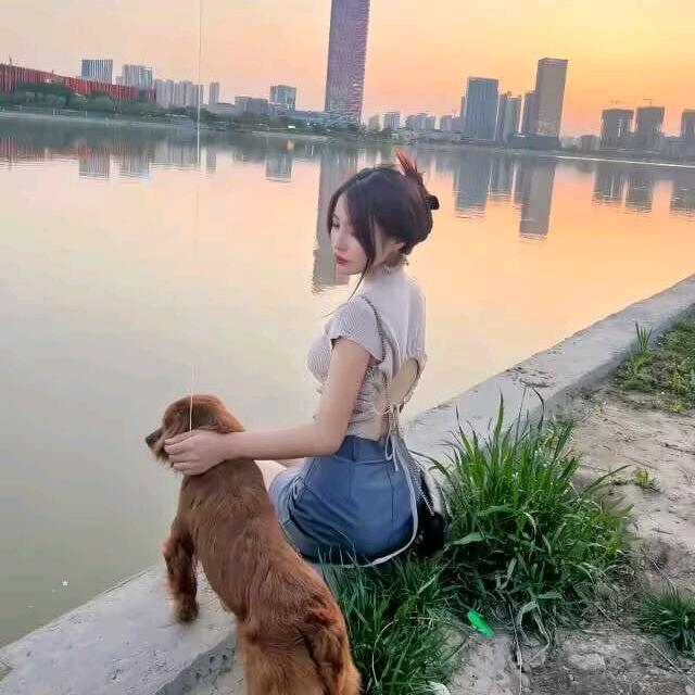 聚友犬业