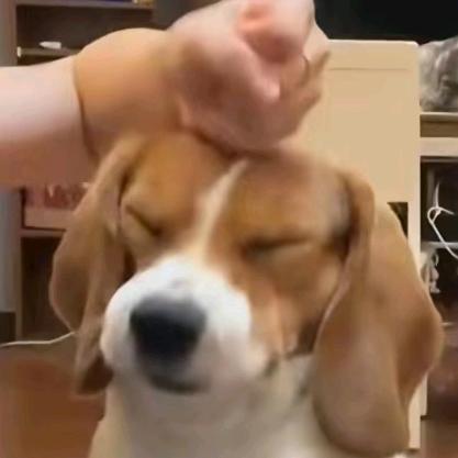 不玩守约
