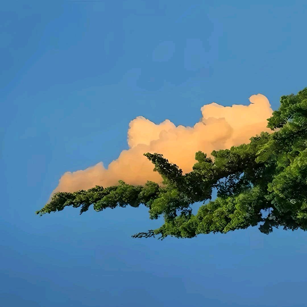 权来(折扣清仓)