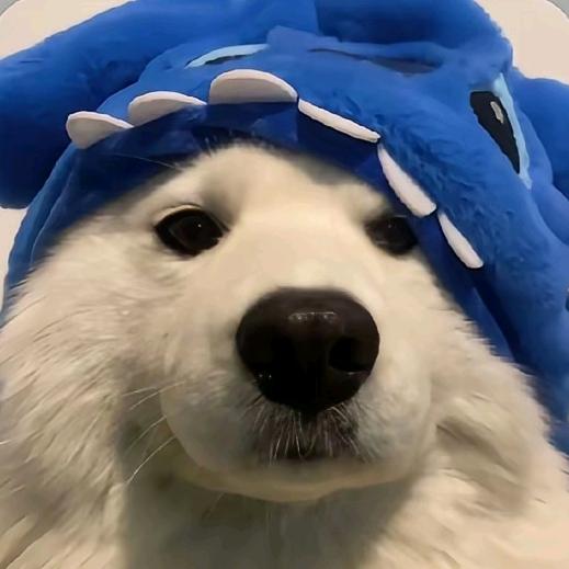 遇吉优选