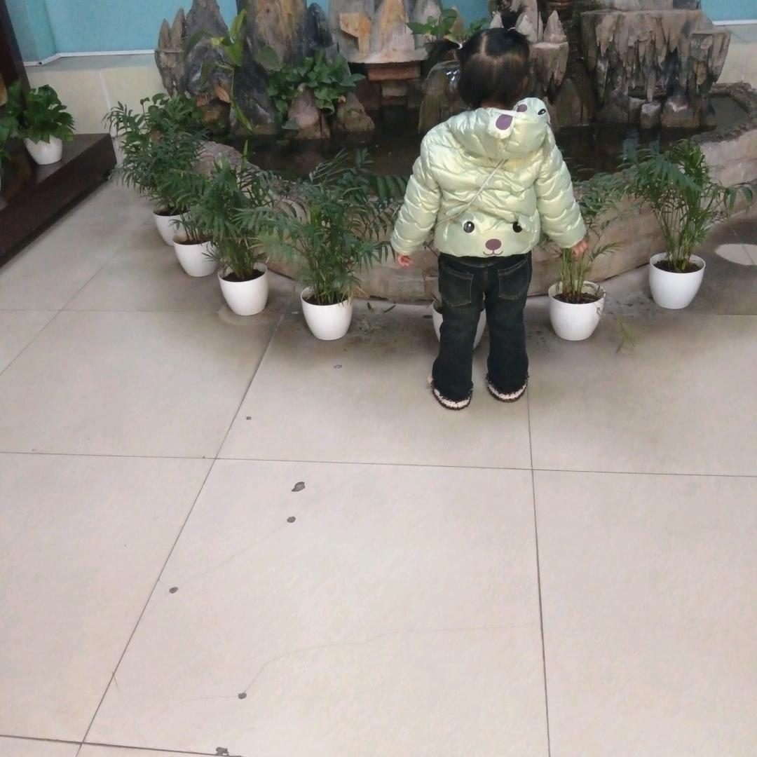顺其自然