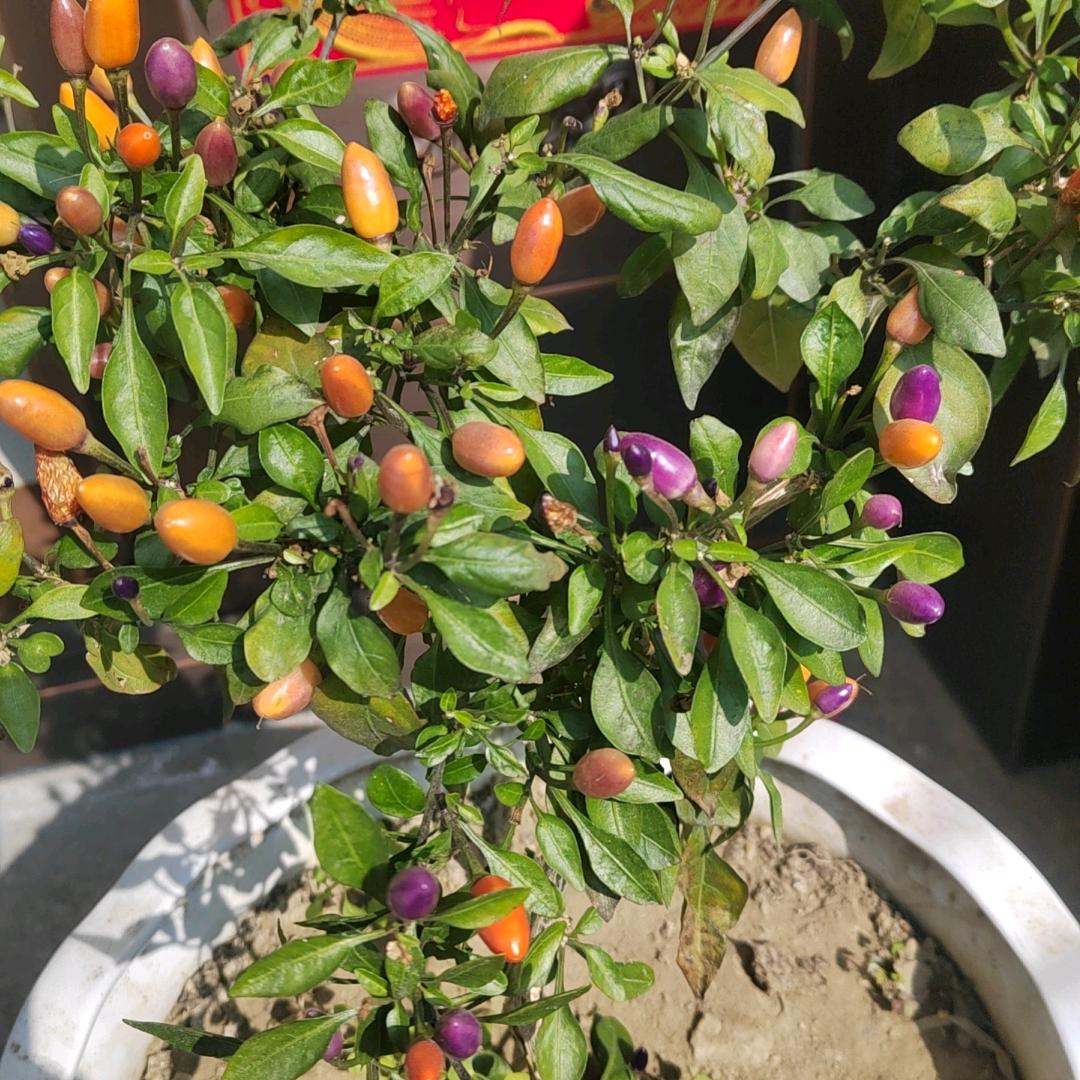 一切安好，打开格局