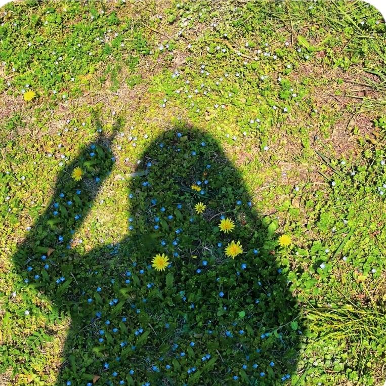 爱嘤嘤嘤斯坦～