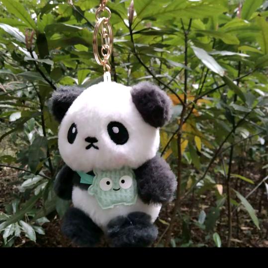 单身哥