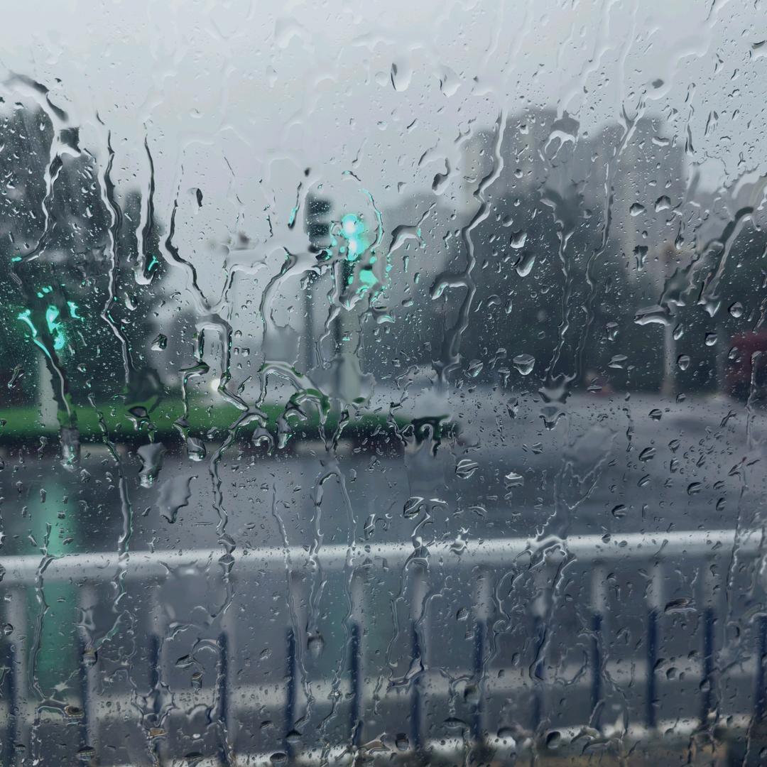 🍄秀秀是个宝🍄