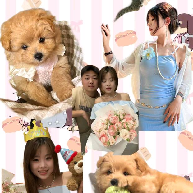 不会开🚗的小邱