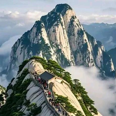 🐯虎啸山林