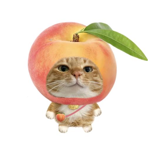 橘与猫