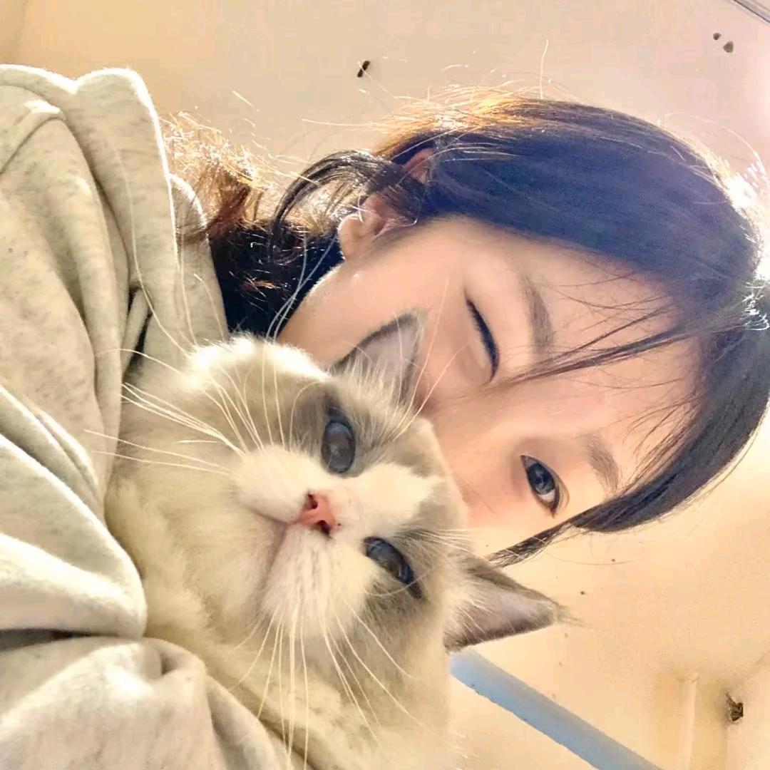 养只猫