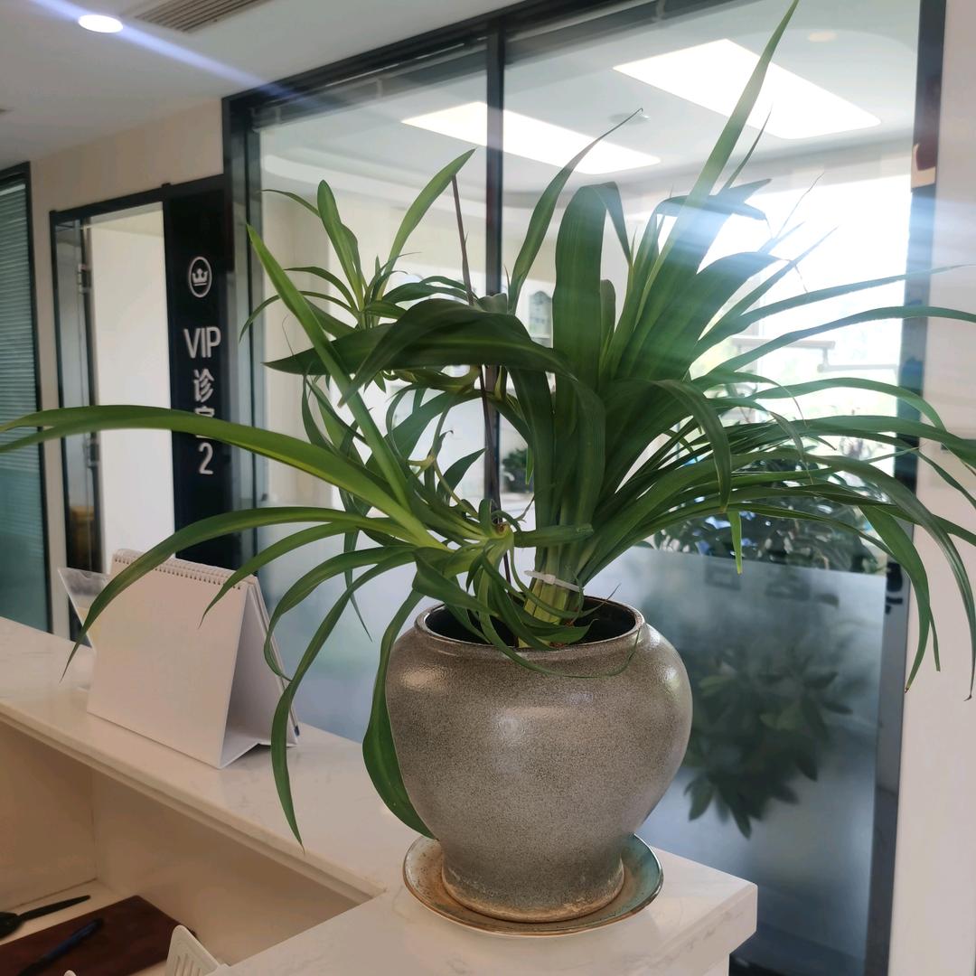 忠宁旭百货精选小铺