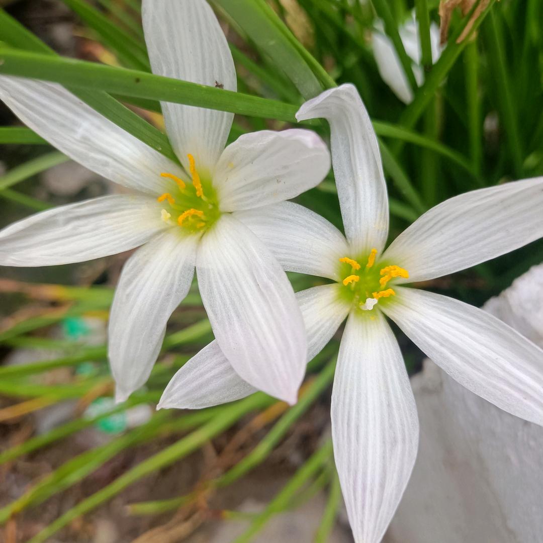 骑着蜗牛看世界