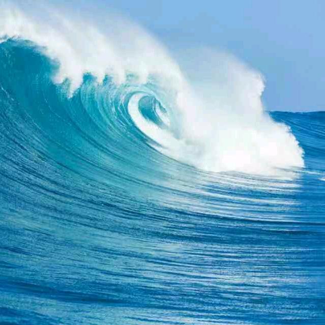 大海