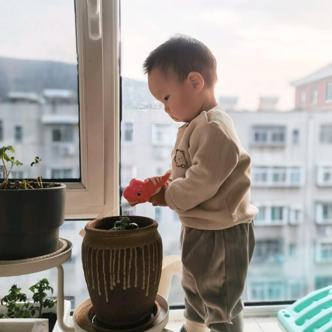 逍遥狗尾巴草儿