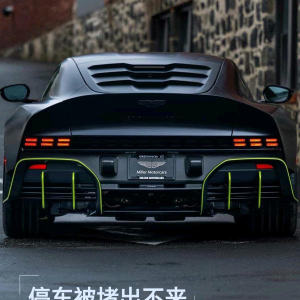 爱潜水的鱼