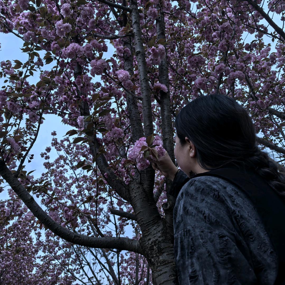 胖莎