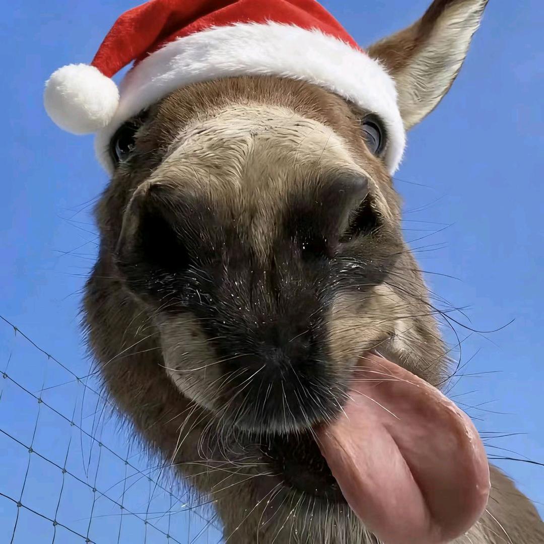 杜撰星河✨·iyun💛