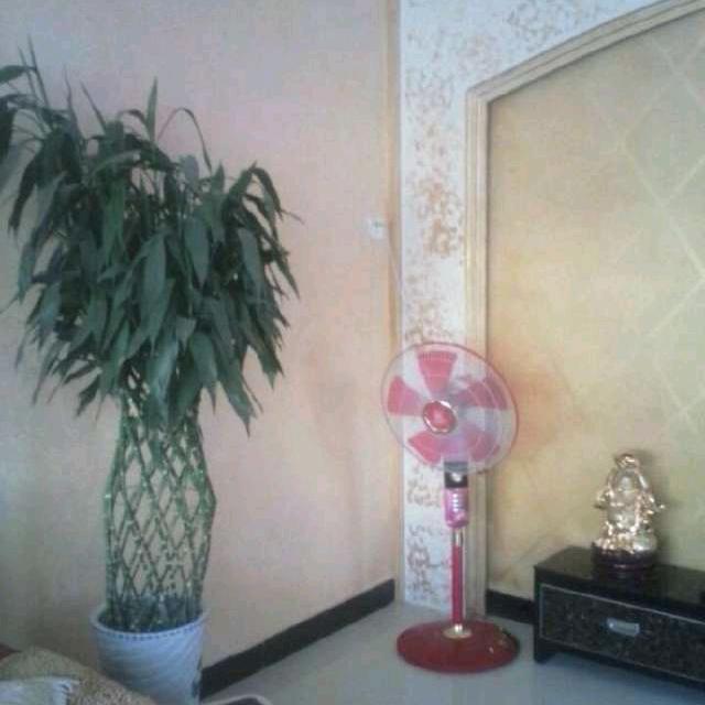 八爷