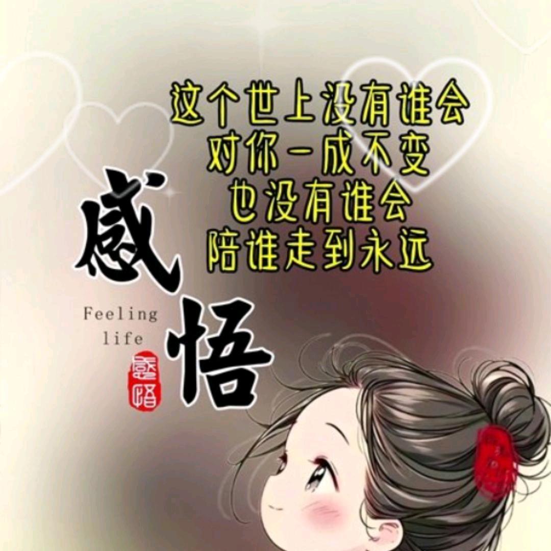 君悦🎙