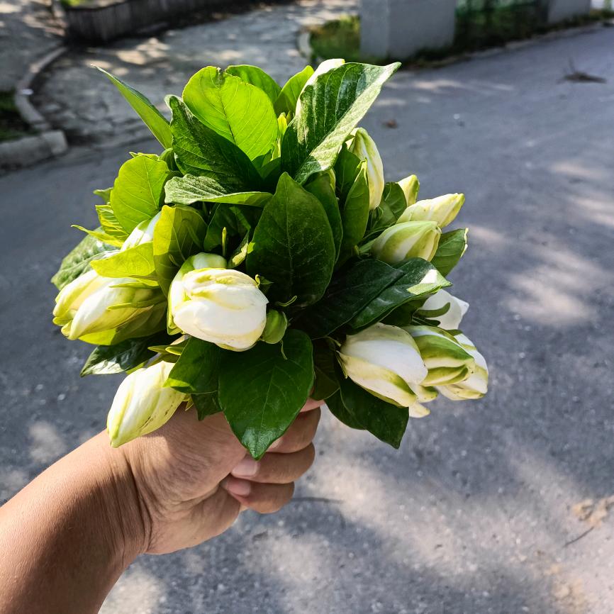 小二，上酒。