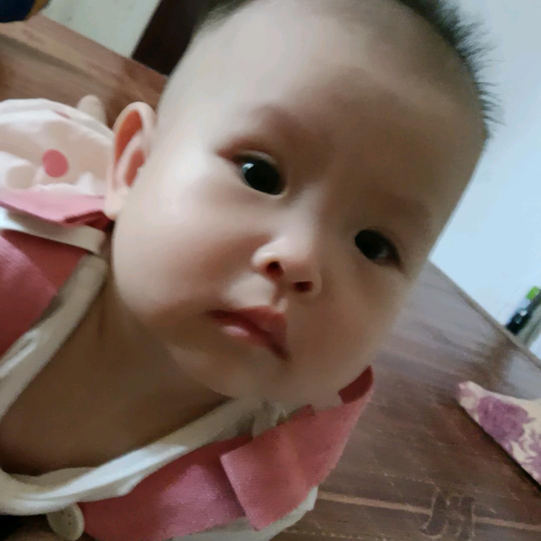 书文