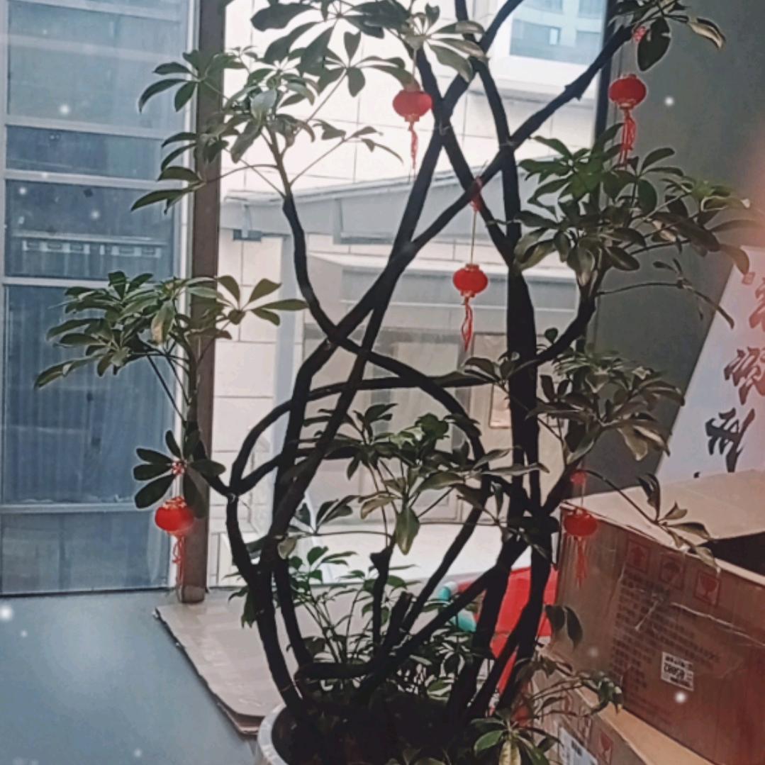 跑不说了