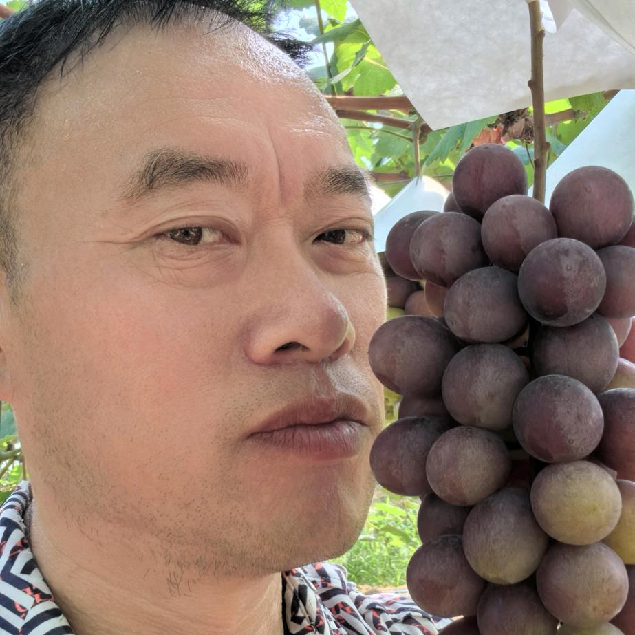 蒋氏.家福生态葡萄