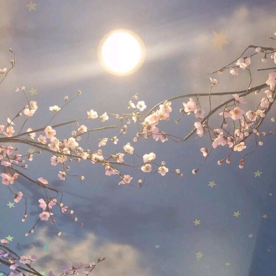 萌小丸子