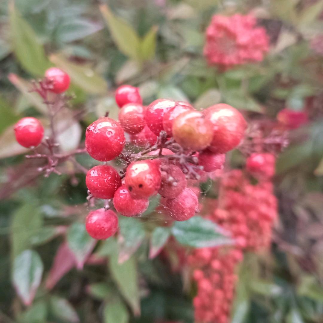 幸福一身