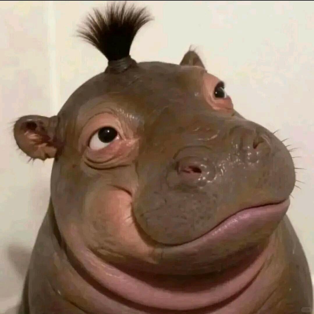 像暗杀似的从背后突然拥抱你