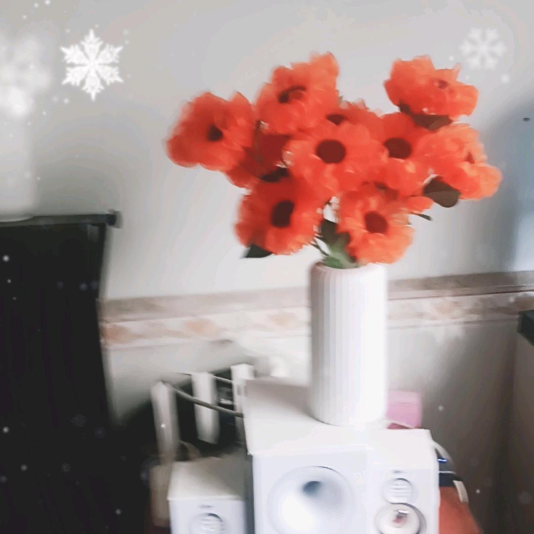 真诚