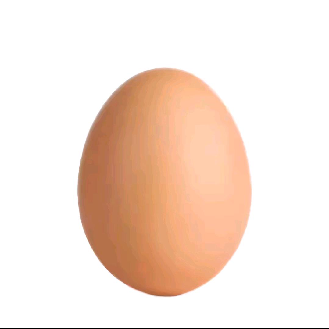 egg