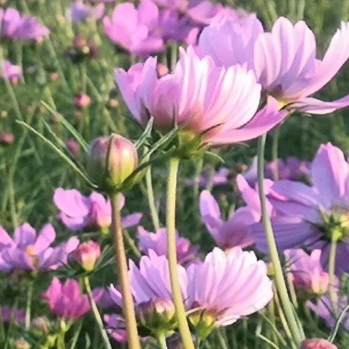 走好自己的路，