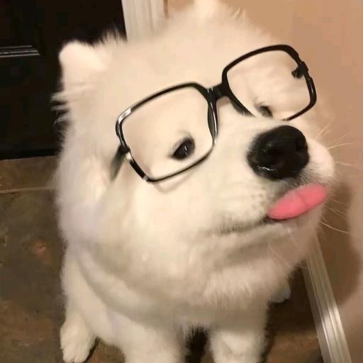 气气