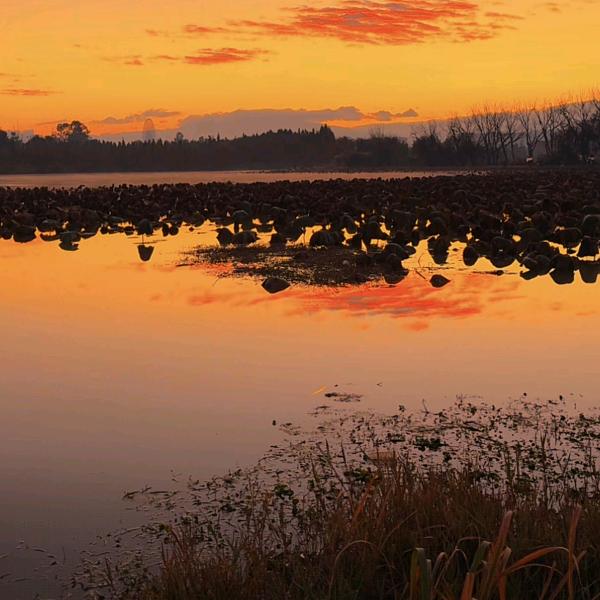 左岸憨麦油画工作室