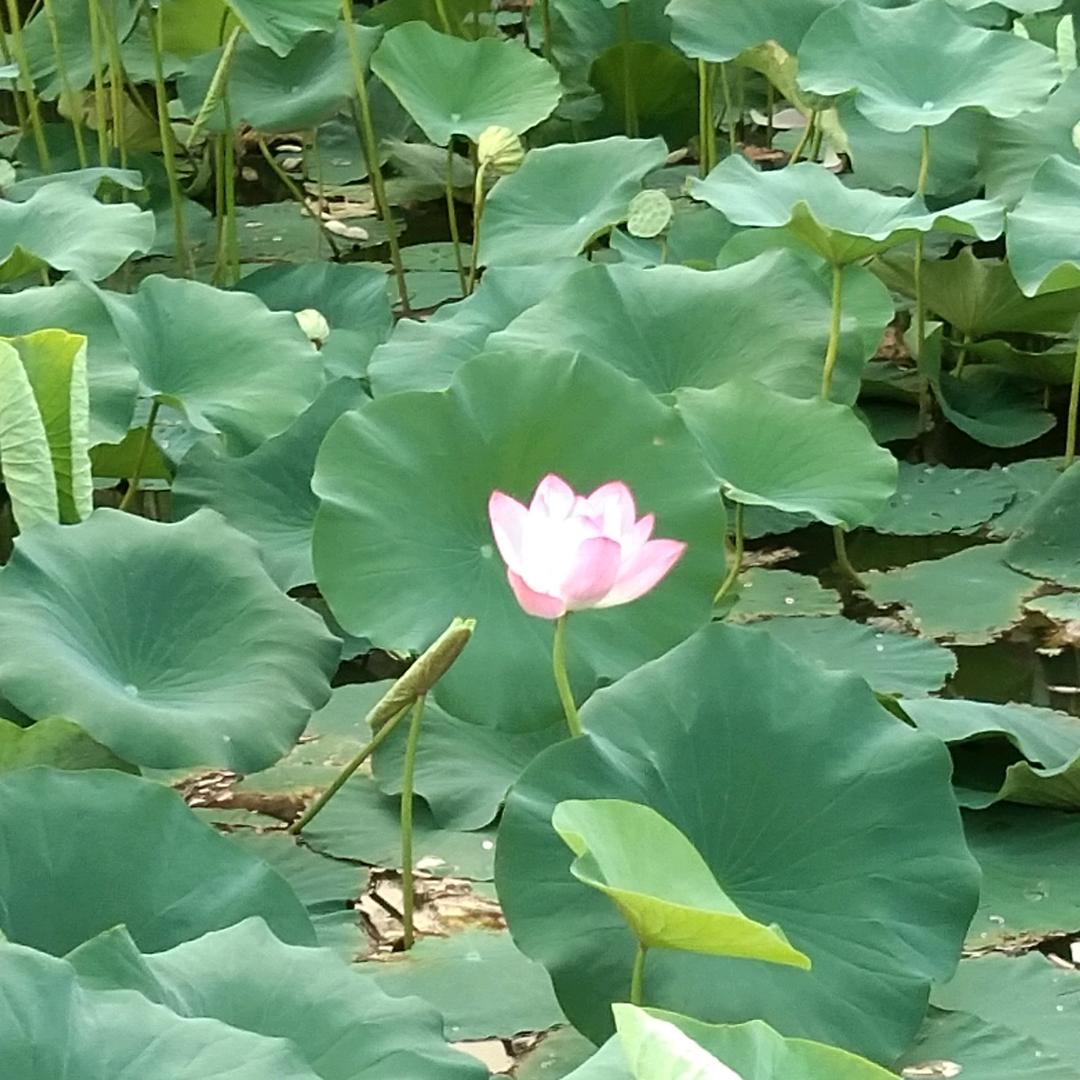 一个普通的80后