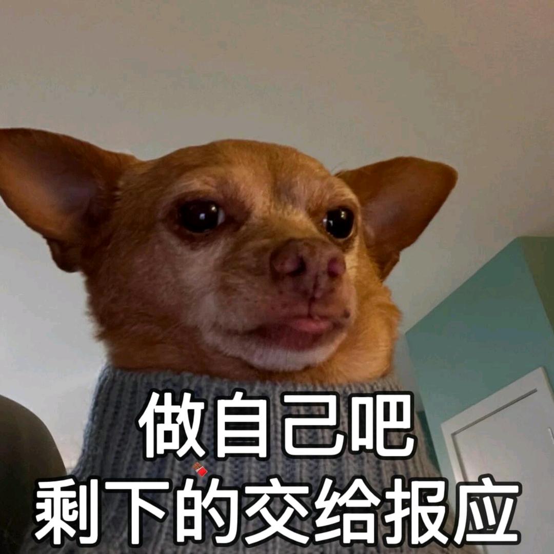 玩什么