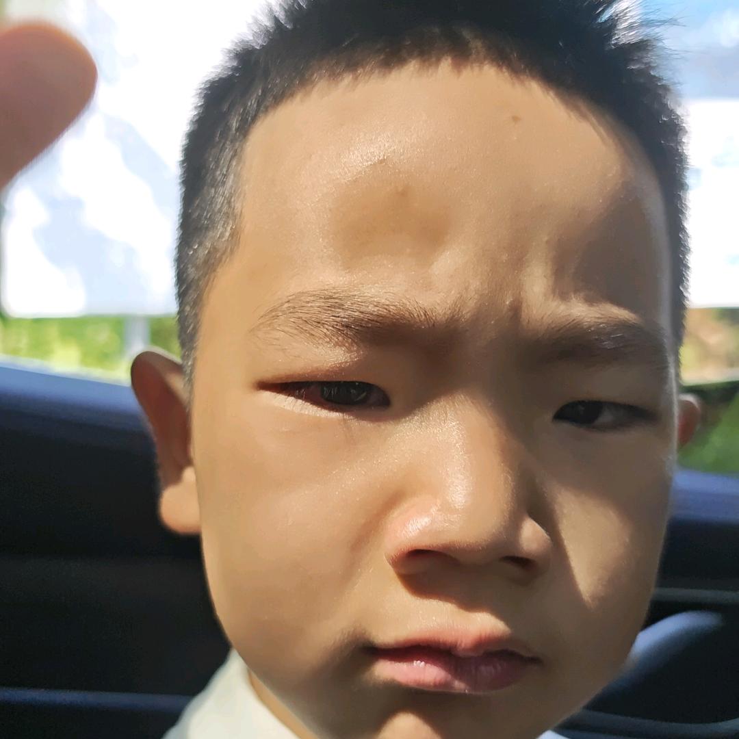 纯粮搬运工