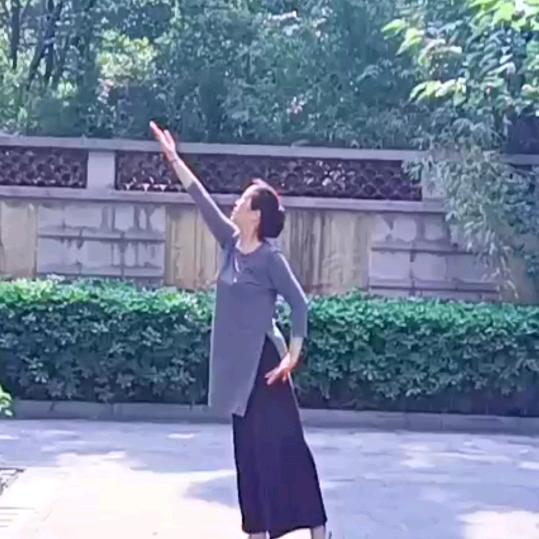 淡定（66年🐴）