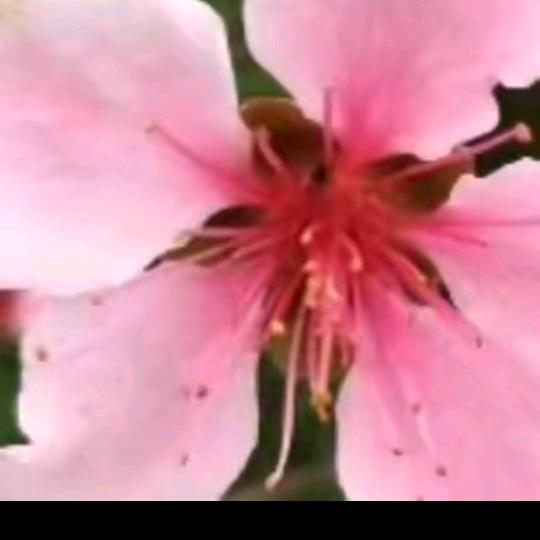 ￴￴ ￴￴ ￴ ￴￴￴ ￴￴￴￴ ￴红