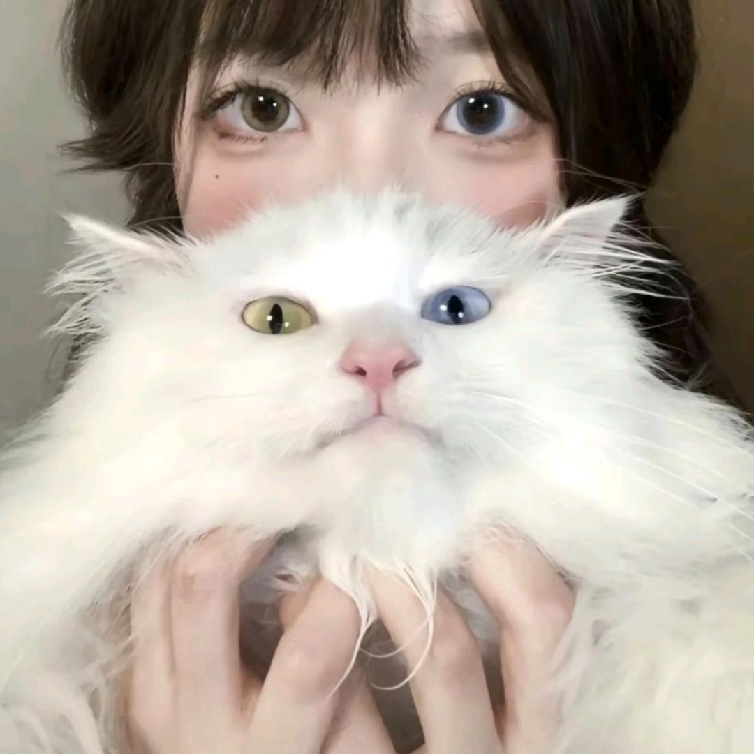 借我点阳光