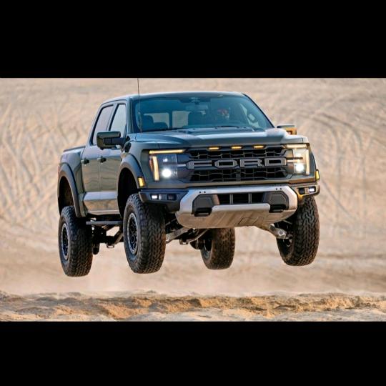 猛禽 (飞禽金雕！擎天柱！江南江北）