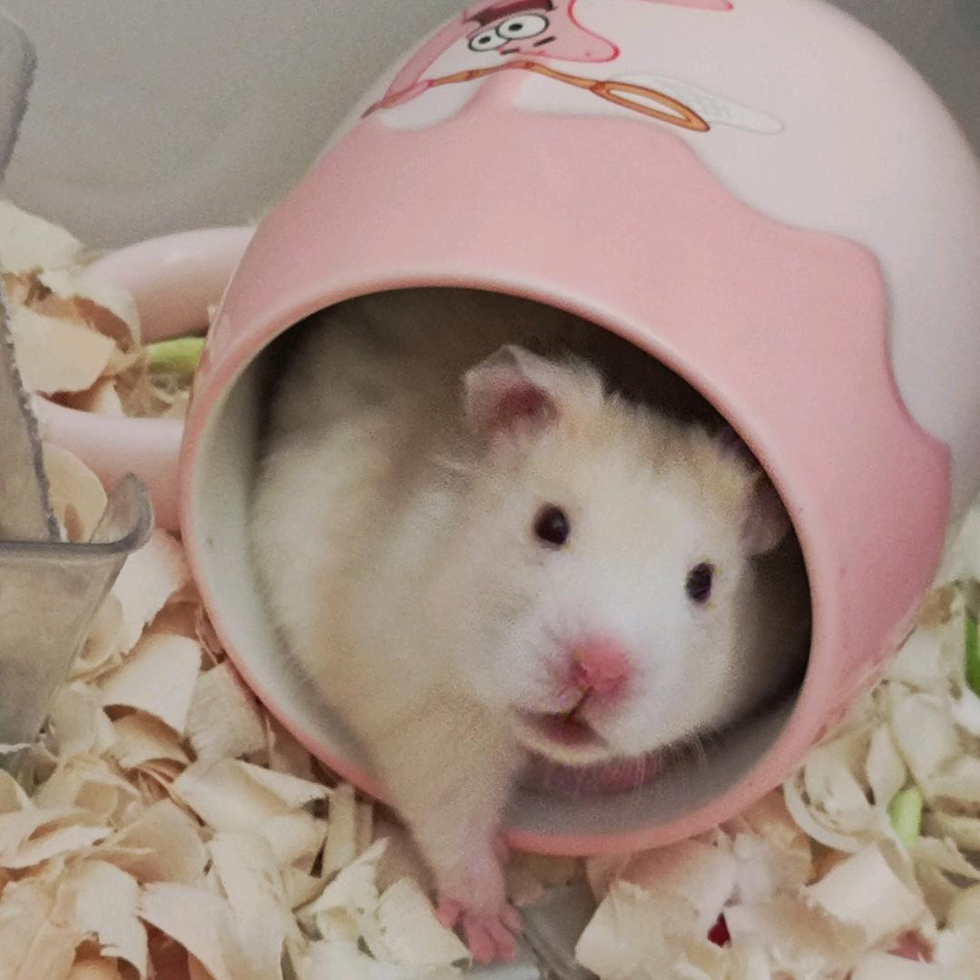 不符我就炸了全世界