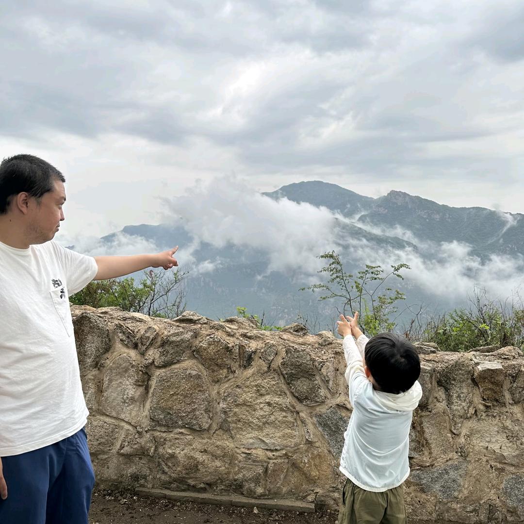 梦幻西游手游白给°
