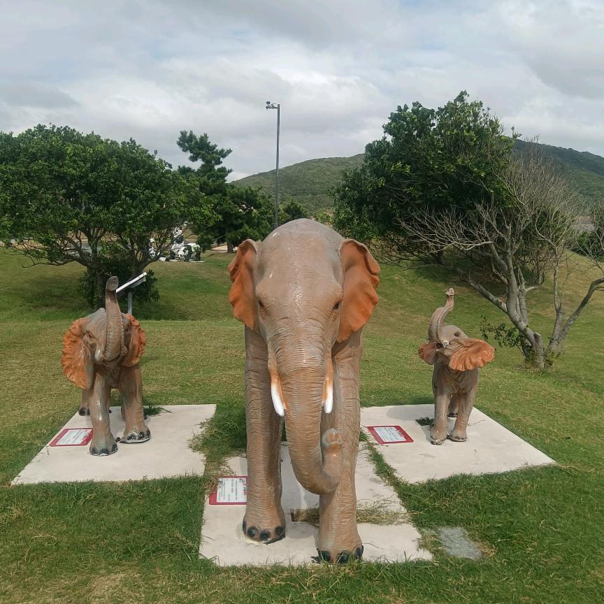 有心无意！！！