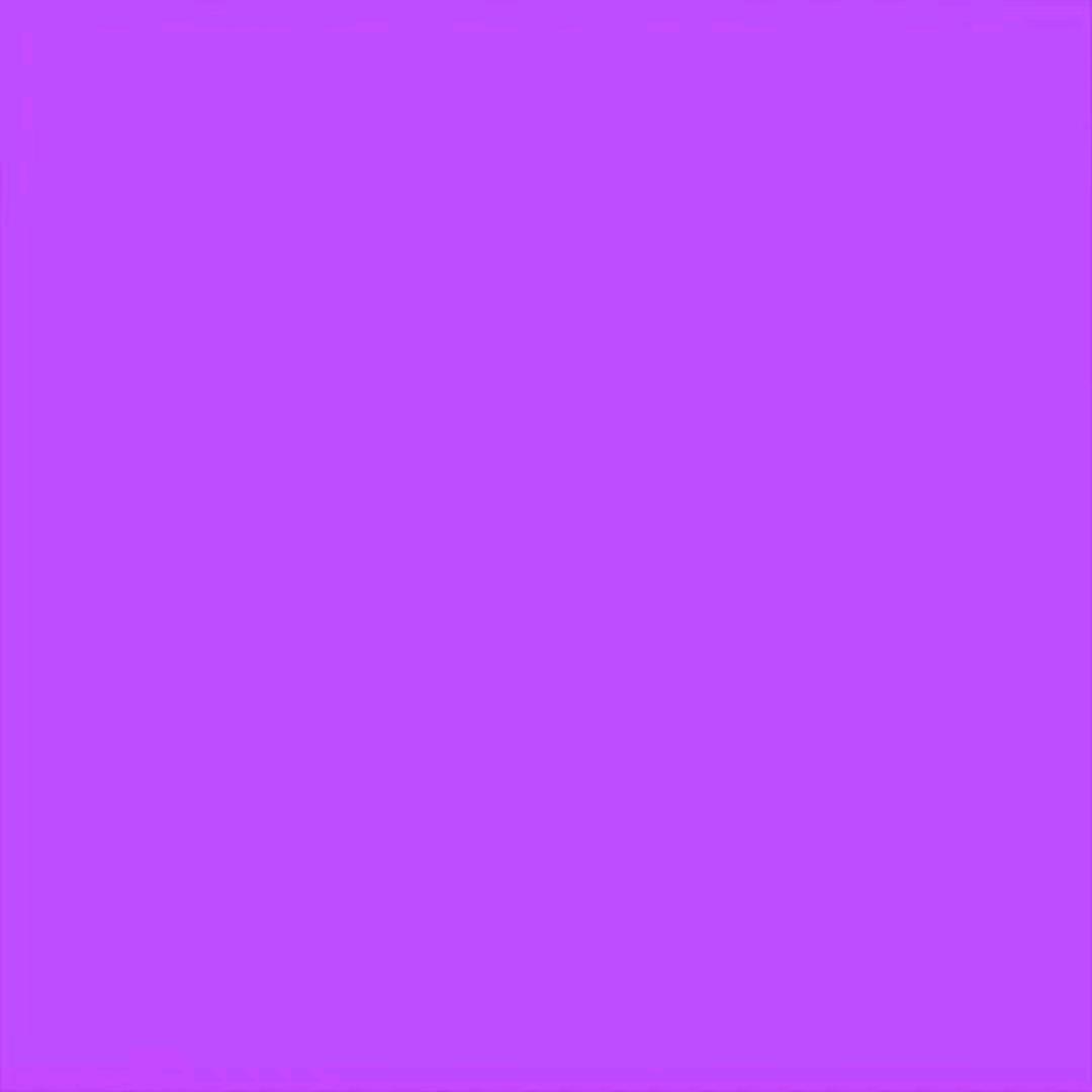 喵喵教狂热信徒