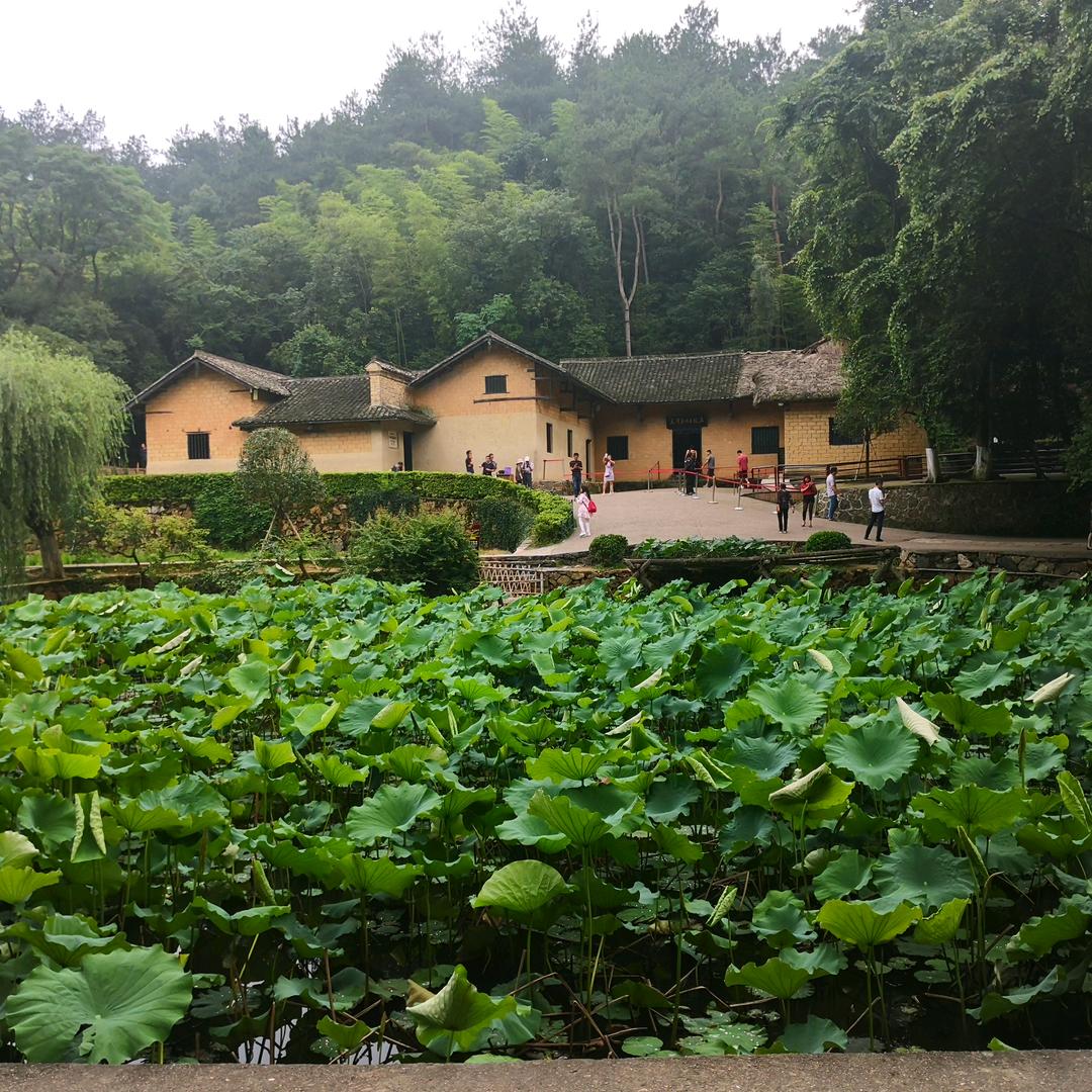 洁舒蕴洗脸巾