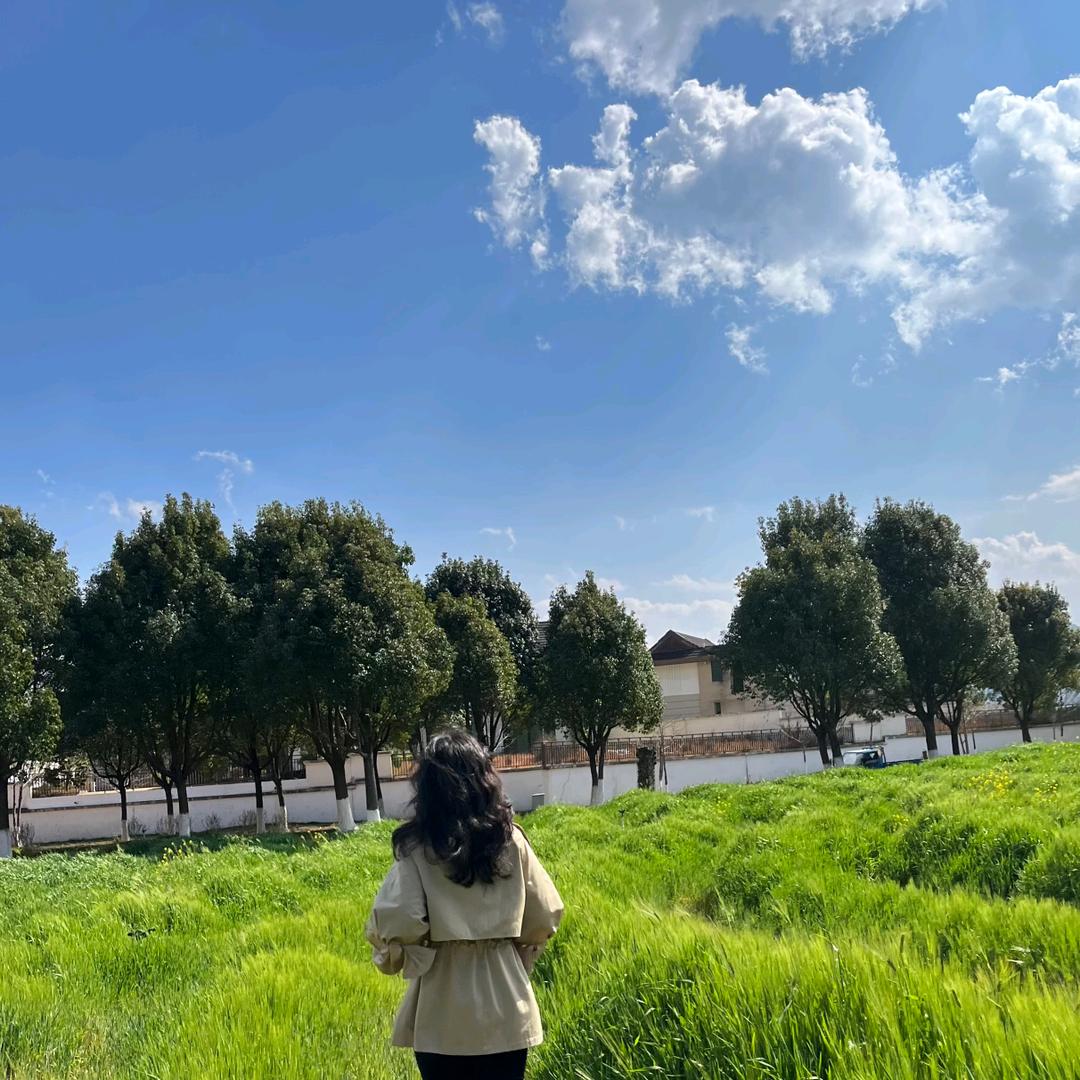 小黄鸭
